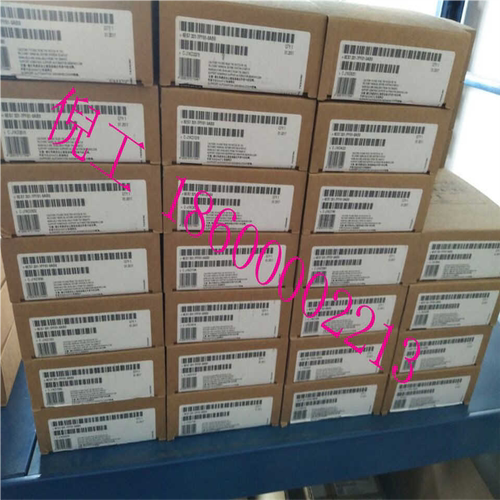 S7-200 SMART 模块 EM DP01 6ES7288 6ES7 288-7DP01-0AA0（反映