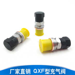 蓄能器充氮工具充气嘴回程缸阀单向阀QC12Y液压剪板机充气阀QXF-5
