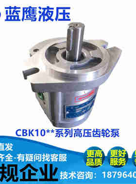 CBK1012/1014/1016/1018/1020/1025-B1FR-B1FL-A1FR-B1FR齿轮