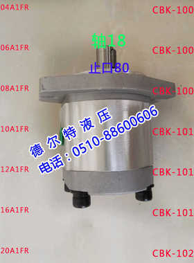 齿轮泵CBK1016-B1FR CBK1020-B1FR CBK1025-B1FR CBK1025-A1FR