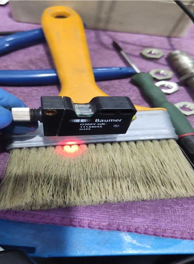 【汇生 】Baumer  O300Y.GR-11144055【议价】