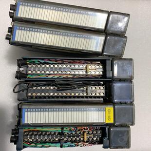 IC695MDL660 崽载电子