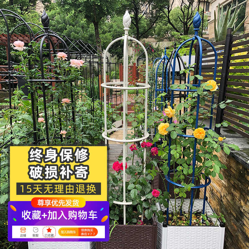 爬藤架月季花架花支撑架子玫瑰藤架花盆铁线莲固定花卉植物支架