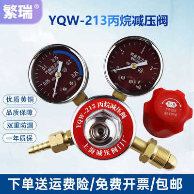 丙烷减压器液化石油气罐天然气减压阀YQW-213气体钢瓶减压阀繁瑞