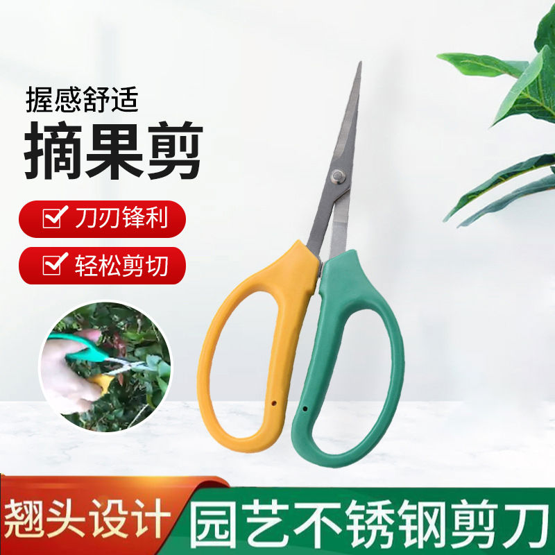 葡萄翘头修枝剪强力剪子花剪剪枝果树修枝剪刀园艺剪园林修花枝剪