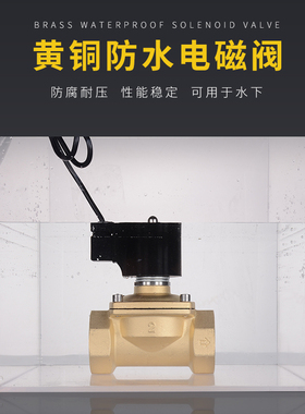 常闭水下专用喷泉防水电磁阀水阀地埋电动控制阀2A154分1寸220v24