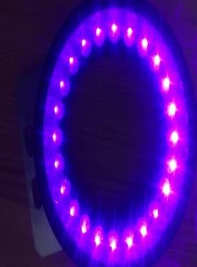 CCS LDR2-74VL405-LA 紫色 实物图 议价