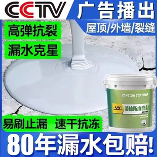 屋顶防水涂料补漏专用楼顶房顶堵漏王外墙裂缝漏水防水材料防漏胶