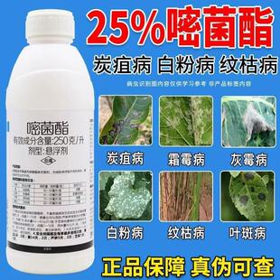 25%嘧菌酯叶斑病炭疽病白粉病锈病霜霉病稻瘟病果树蔬菜花杀菌剂