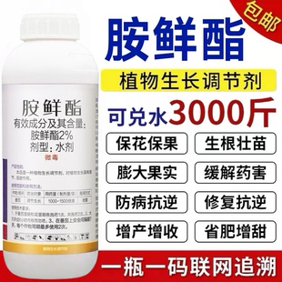 胺鲜酯调节剂保花保果增产解药害生根壮苗果树蔬菜花卉叶面肥