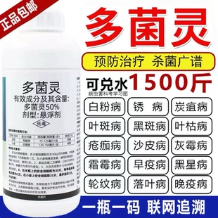 多菌灵杀菌剂白粉病炭疽病霜霉病黑斑病锈病果树植物花卉多肉农药