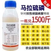 马拉硫磷蚜虫蓟马钻心虫跳甲飞虱蝗虫粘虫水稻小麦果树蔬菜杀虫剂