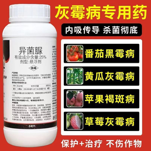 灰霉病专用药异菌脲杀菌剂疫病黄瓜韭菜番茄草莓葡萄果树灰霉农药