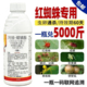 红蜘蛛专用药杀卵杀虫剂阿维螺螨酯锈壁虱果树蔬菜月季 花卉杀螨剂