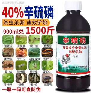 辛硫磷杀虫剂蚜虫蓟马菜青虫钻心虫蚂蚁地下害虫果树花卉植物农药