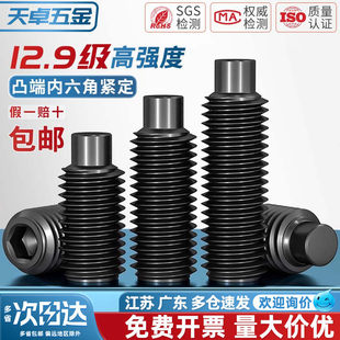 M16凸端紧定12.9级内六角螺丝机米螺钉顶丝无头止付螺栓M4M5M6