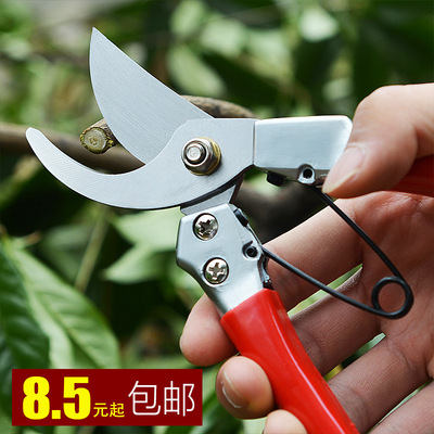 热销 园林花木修剪工具 修枝剪 果树剪刀 整枝剪 园艺剪枝树