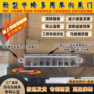 中蜂蜜蜂单向门防马蜂巢门意蜂捕抓胡蜂土蜂蜂箱防逃门山洞收蜂器