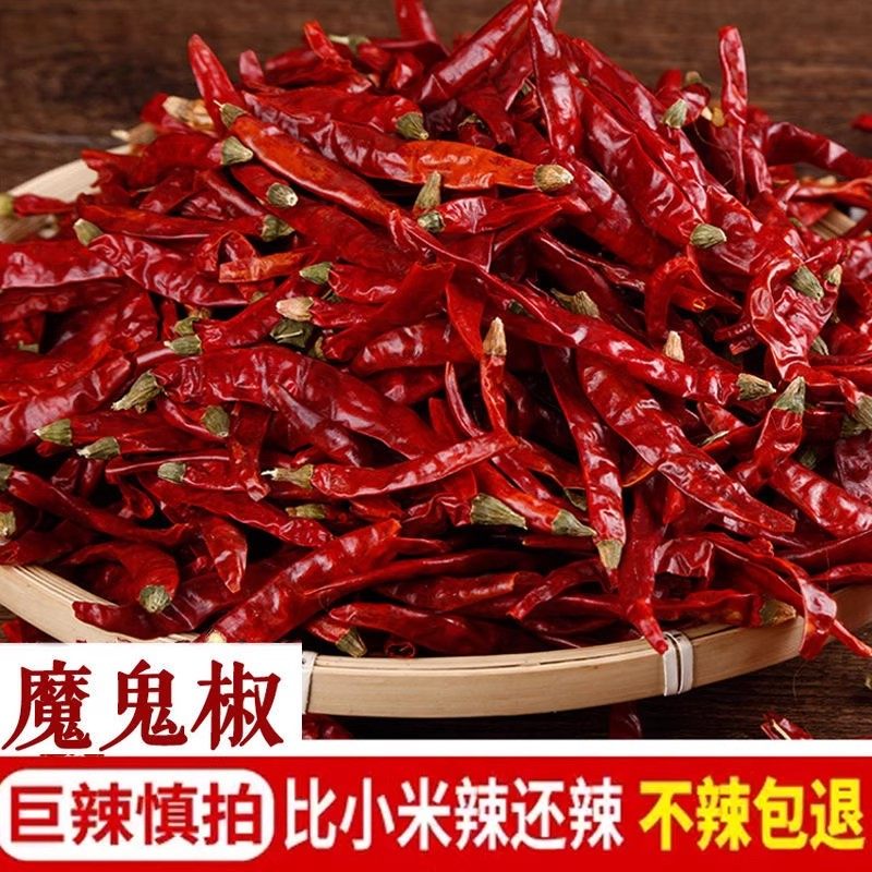 2025正宗印度进口S17巨辣魔鬼椒火锅配料超辣干辣椒四川火锅批发