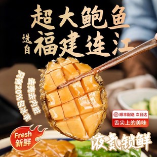速冻冷冻大鲍鱼肉去齿去壳鲍鱼鲍鱼鲜活冷冻鲍鱼批发连江鲍鱼商用