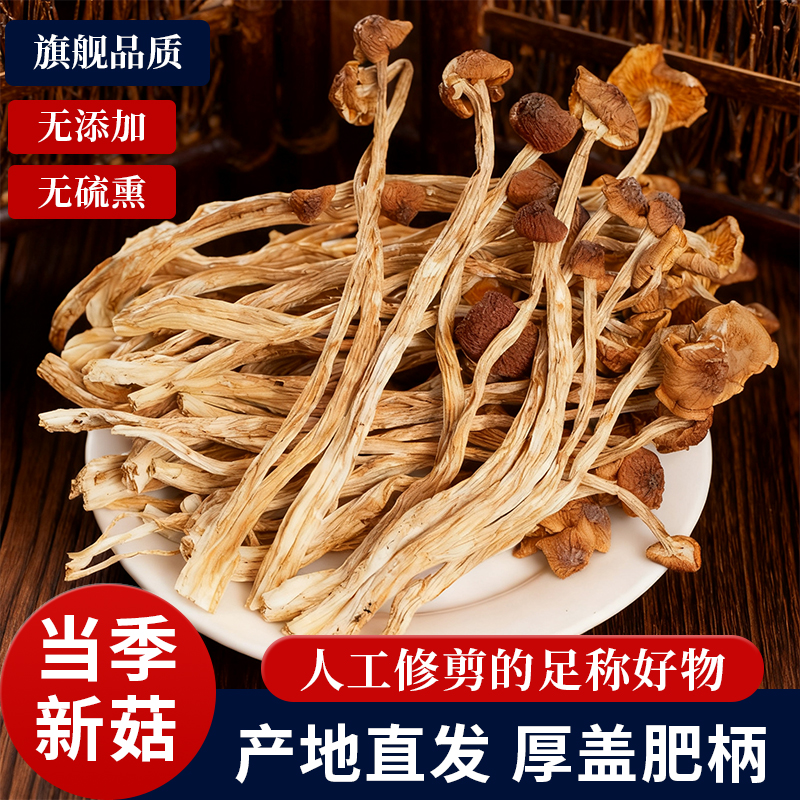 秋农伯新货农家茶树菇干货开伞500g香菇古田茶树菇菌煲汤净重批发