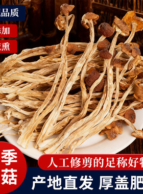 秋农伯新货农家茶树菇干货开伞500g香菇古田茶树菇菌煲汤净重批发