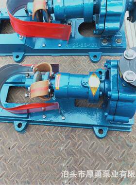 厚勇高温泵RY25-25-160小流量高温导热油泵冷风循环齿轮泵