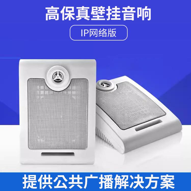 壁挂音响音箱学校店铺用餐厅奶茶店商铺商场超市门店面吊挂商用喇