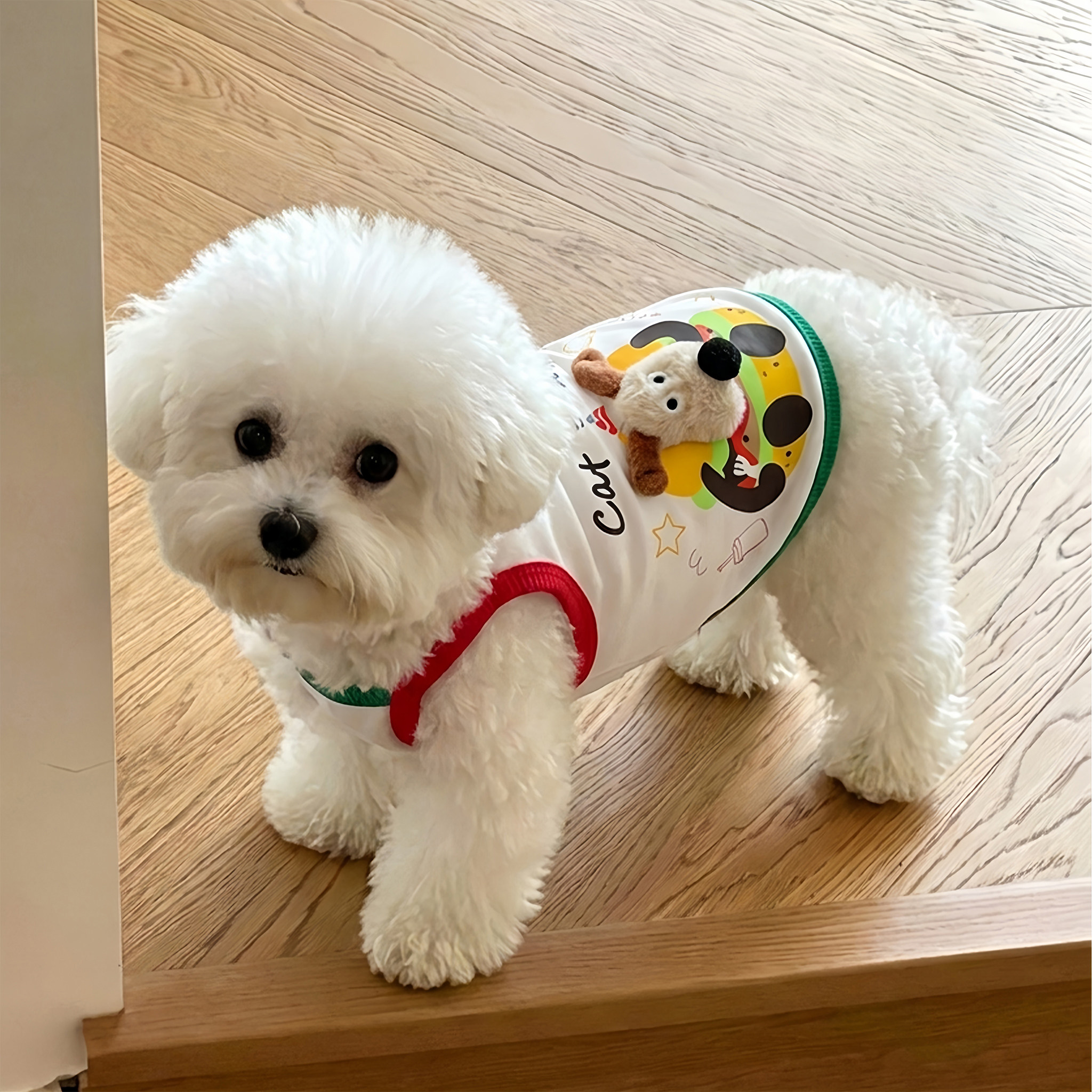 宠物狗狗衣服小型犬比熊夏天薄款吊带2026新款透气防掉毛猫咪背心