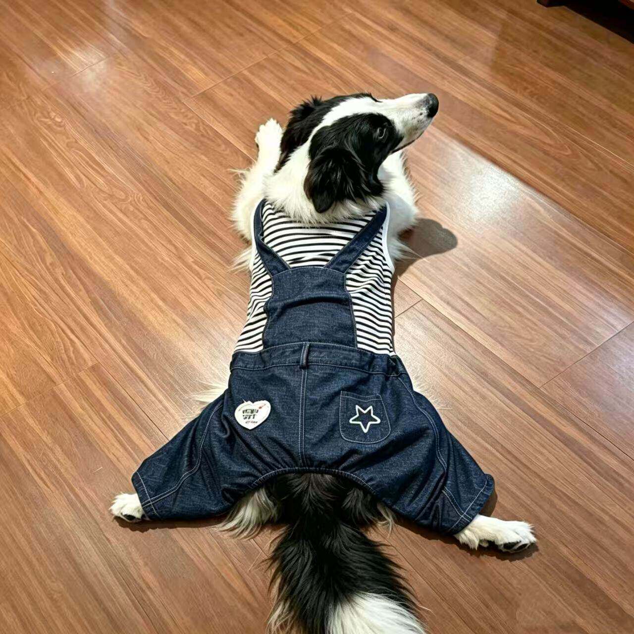 中大型犬狗狗牛仔背带裤连体金毛拉布拉多条纹四脚衣春秋大狗衣服