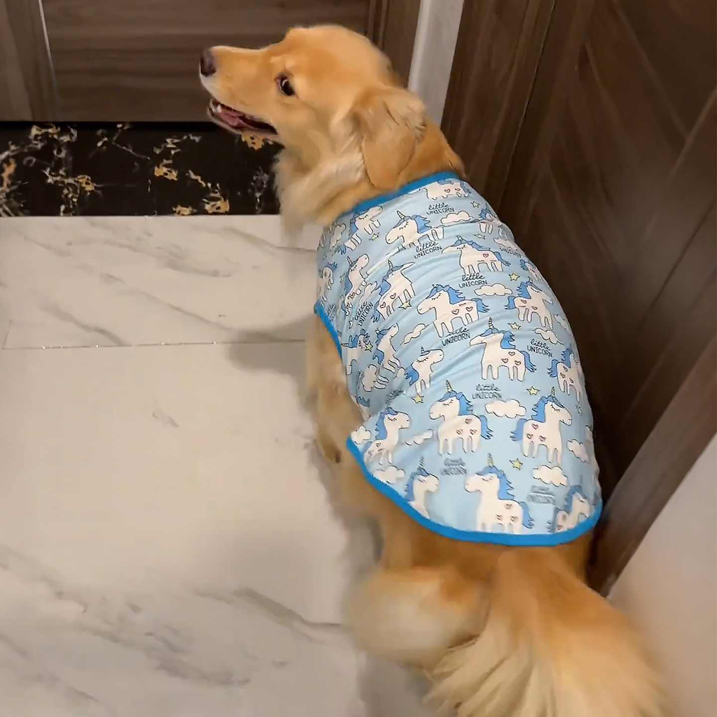 大型犬狗狗衣服金毛拉布拉多德绒居家睡衣秋冬外出防着凉小背心