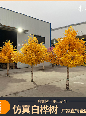 速发大桦树黄色银物白型假树胡杨树植杏树室内装饰酒店工程美陈树