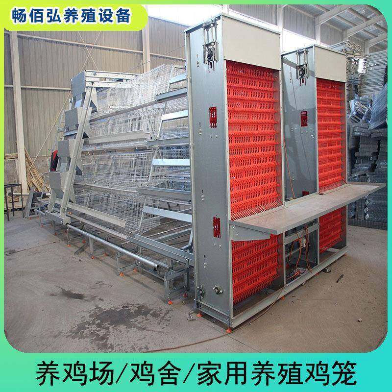全自动阶梯式蛋鸡笼自动化鸡笼养殖厂工厂阶梯鸡笼热镀锌材质,畜牧/养殖物资,特种养殖设备,淘宝优惠券,粉丝福利购,淘宝优惠卷