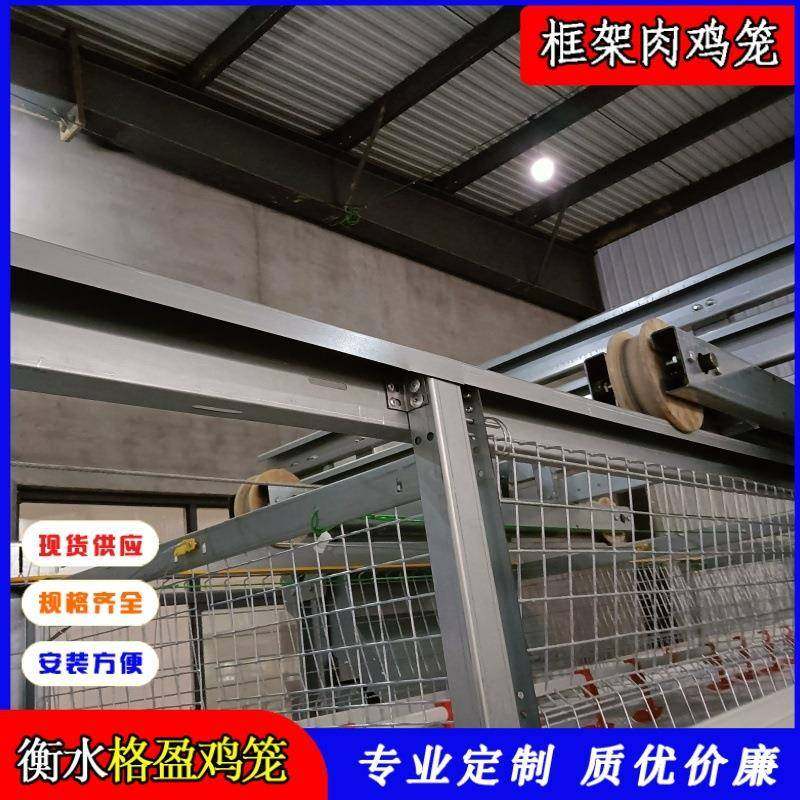 肉鸡笼厂家生产肉鸡笼全自动三层框架肉鸡笼量大价更优,畜牧/养殖物资,特种养殖设备,淘宝优惠券,粉丝福利购,淘宝优惠卷