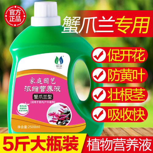 速发蟹爪爪肥料专栽肥浓缩营养液蟹兰莲花卉绿植盆用家用水土培肥