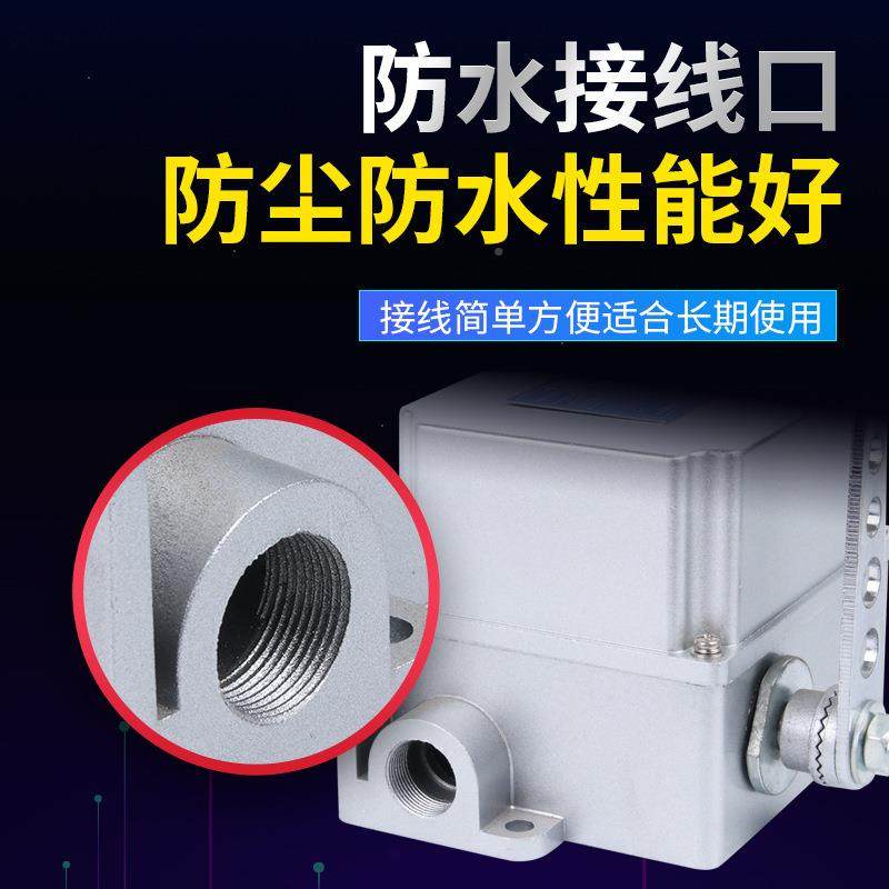 厂家B行程限位开关DF1-RTYA/重负可荷限位滚器调转臂轮摆杆式