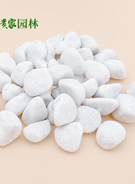 白色卵石矿珠海滤景观鹅铺地石子AXR过水洗石富贵家产现货整车批