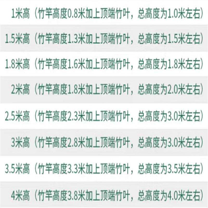 仿竹真竹子细水BHS竹风竹装饰隔断客厅屏装饰橱窗玄关毛假竹子仿