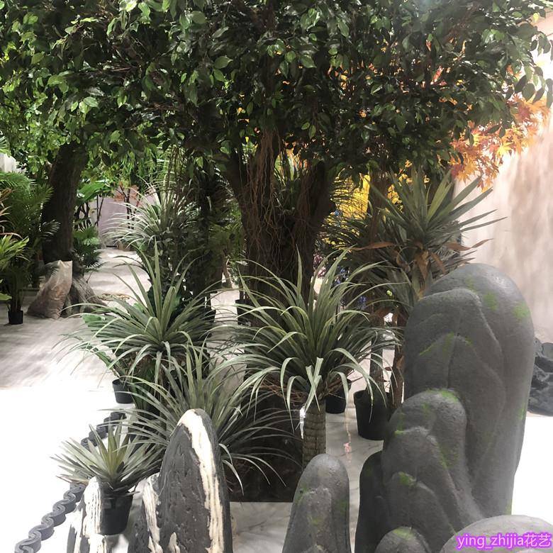 仿真植物树盆栽铁龙田血树丝兰NAM鸟巢叶商场酒店绿园植单只/束摆