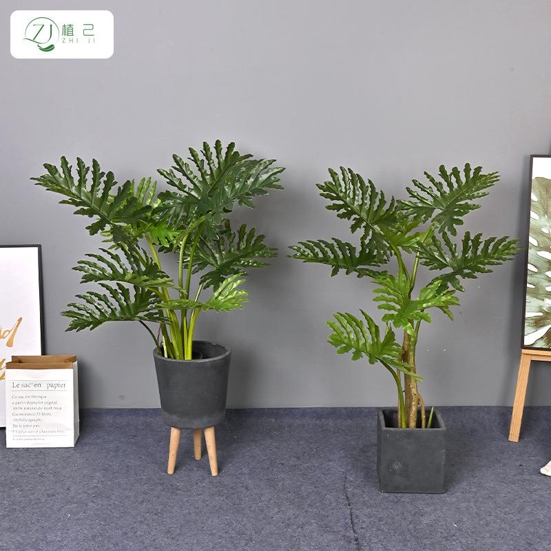 仿生绿植zj5112芋龟背头厂家源一件软春装造景商场橱树窗假造型春