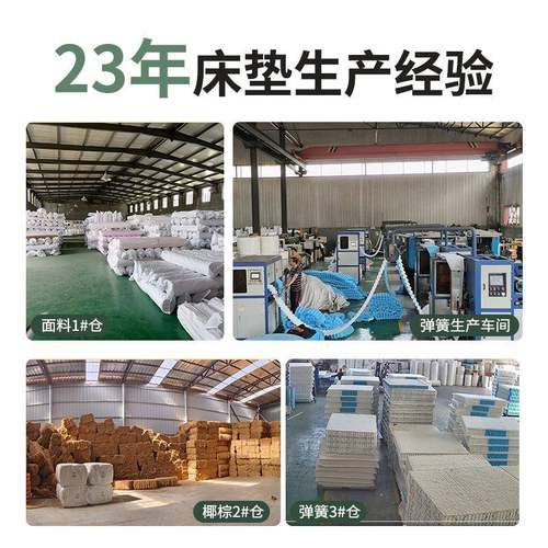 天椰棕垫环保家用1.GXL8米棕垫双然人薄款硬垫子可叠折家用椰棕床