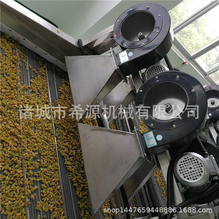 优惠葡萄干草莓气泡清洗线 全自动冒泡洗蔬菜机器