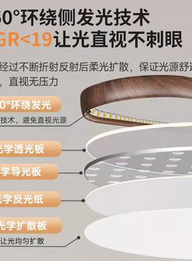 极简回椭圆餐厅吊灯个日原木风饭厅灯PIC性式设计感胡桃木色长条