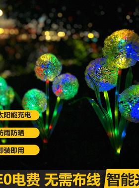新款草太阳能蒲公围英花灯葱花圆球灯户外庭院地花园坪插装LG02饰