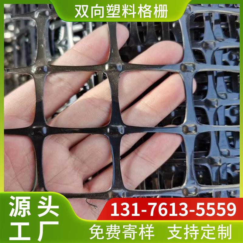 山东厂家现货出售TGSG双向土工格栅 路基加筋双向塑料土工格栅