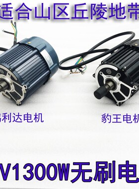 60v1300w红通通豹王电机电动三轮车电机无刷电机头配件