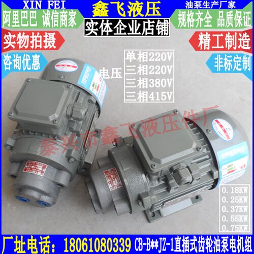 CBW-10插入式耳朵泵机组CB-B10-D TCBW内轴直插式齿轮油泵电机组