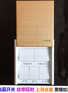 自动延时吹风 浴霸开关五开5开86型风暖浴霸通用智能延时开关金盖