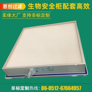 赛默飞生物安全柜配套高效过滤器东富龙/楚天/赛默飞安全柜配套高