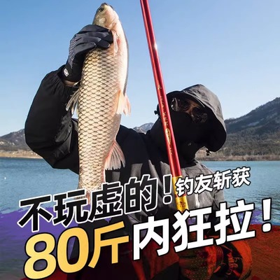 上海美人鱼鱼竿鲫鲤鱼钓鱼竿超硬28调黑大坑6H19调高碳台